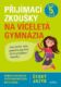 Přijímací zkoušky na víceletá gymnázia – český jazyk (e-kniha)