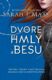 Na dvore z hmly a besu (e-kniha)