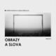 Obrazy a slova (e-kniha)