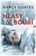Hlasy v bouři (e-kniha)