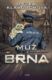Muž z Brna (e-kniha)