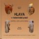 Hlava v makarónské poezii - Čeština + kopa jazyků světa
