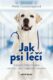 Jak psi léčí - Nejlepší přítel člověka umí být i jeho nejlepším lékařem