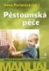 Pěstounská péče
