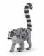 Lemur a mládě
