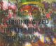Lennonova zeď - The Lennon Wall - Mur Lennon