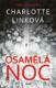 Osamělá noc (e-kniha)