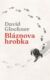 Bláznova hrobka (e-kniha)