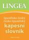 Španělsko-český, česko-španělský kapesní slovník ...nejen na cesty