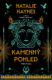 Kamenný pohled (e-kniha)