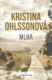 Mlha (e-kniha)