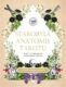 Starobylá anatomie tarotu