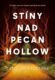 Stíny nad Pecan Hollow (e-kniha)