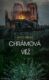 Chrámová věž (e-kniha)