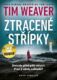Ztracené střípky (e-kniha)