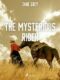 The Mysterious Rider (e-kniha)