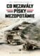 Co nezavály písky Mezopotámie (e-kniha)