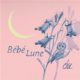 Bébé lune (CD)