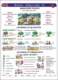 Basic English IV.