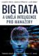 BIG DATA a umělá inteligence pro manažery (e-kniha)