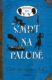 Smrt na palubě (e-kniha)