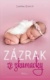 Zázrak ze zkumavky