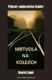 Mrtvola na kolejích (e-kniha)
