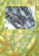 Brezulienka