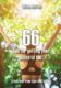 66 steps for getting your health 100% (e-kniha)