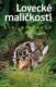 Lovecké maličkosti (e-kniha)