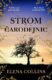 Strom čarodejnic