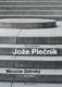 Fenomén Jože Plečnik (e-kniha)