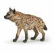Hyena