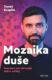 Mozaika duše (e-kniha)