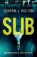 Slib (e-kniha)