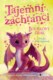 Tajemní zachránci - Bouřkový drak