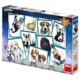 Puzzle 500 Pes Gump