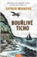 Bouřlivé ticho