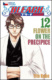 Bleach 12