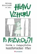 Hlavu vzhůru po rozvodu?! (e-kniha)