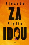 Za Idou (e-kniha)