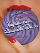 Cupido from Dusk Till Dawn: A Collection of the Best Erotic Short Stories (e-kniha)