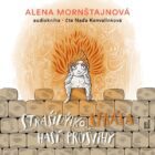 Strašidýlko Stráša hasí průšvihy - CDmp3 (Čte Naďa Konvalinková)