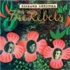 Šípková Růženka (CD)