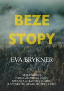 Beze stopy (e-kniha)