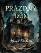 Prázdný dům (e-kniha)