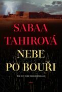 Nebe po bouři (e-kniha)