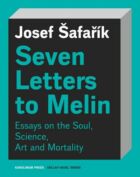 Seven Letters to Melin (e-kniha)