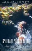 Spirituální průvodce na Bali (e-kniha)