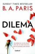 Dilema (e-kniha)